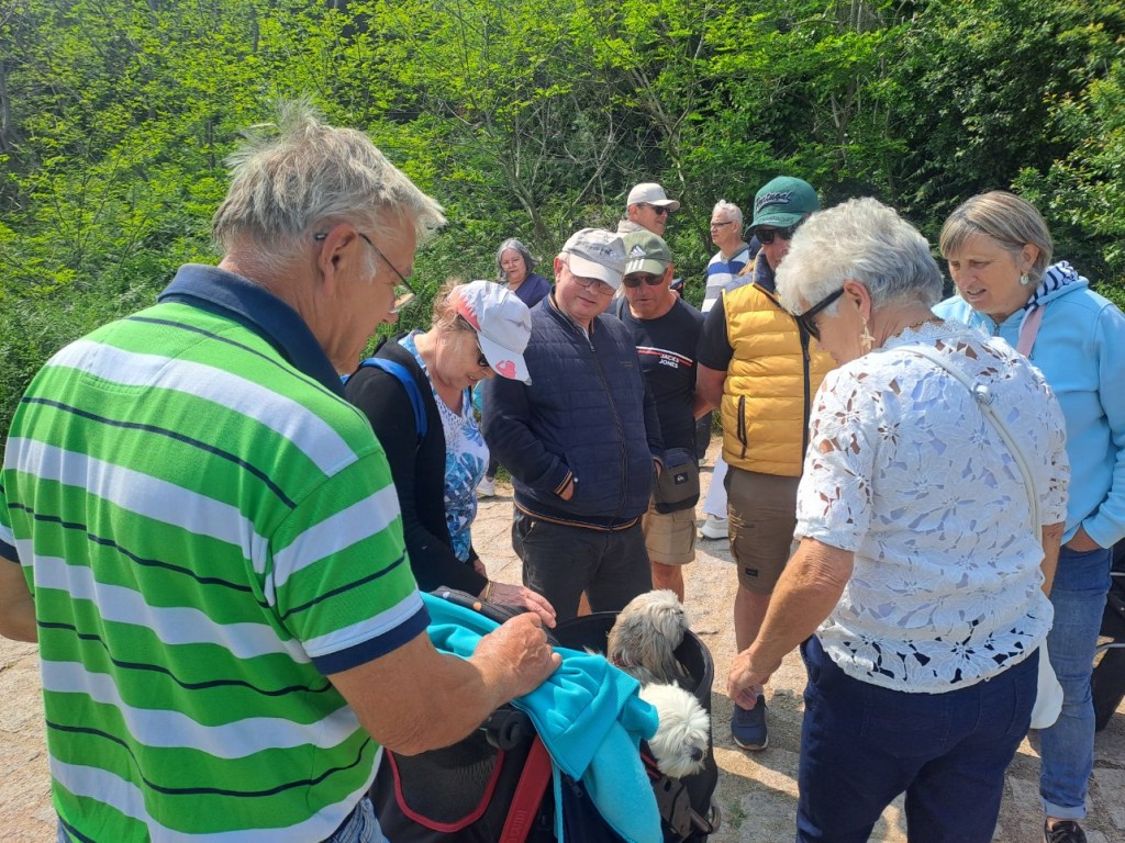 Rencontre avec les toutous