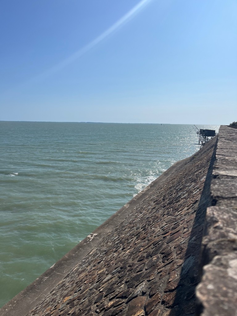 IMG_3882.jpeg