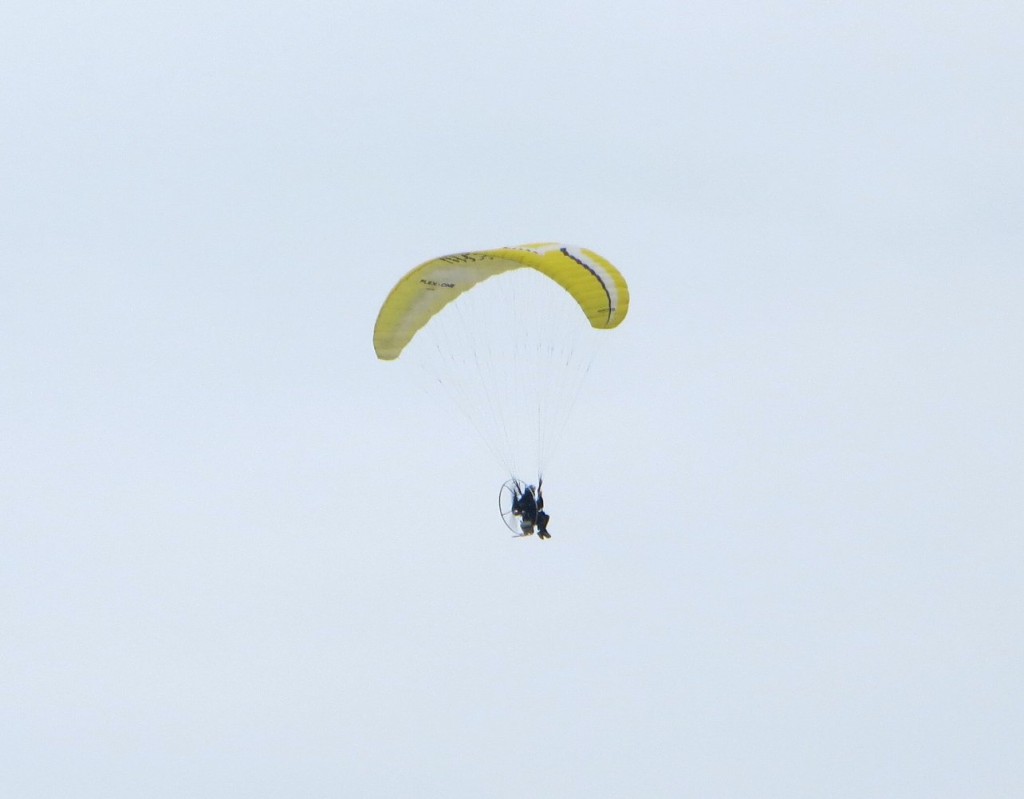 IMG_3775.JPG