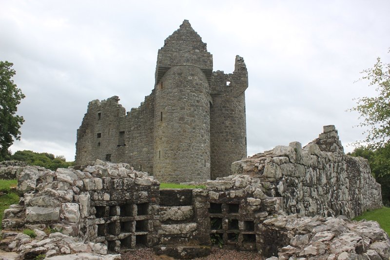 Monea castle