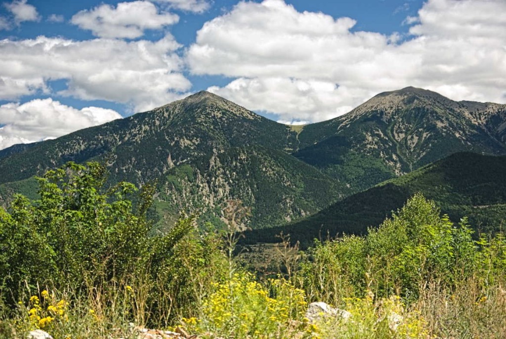 Col Mitja (2).jpg