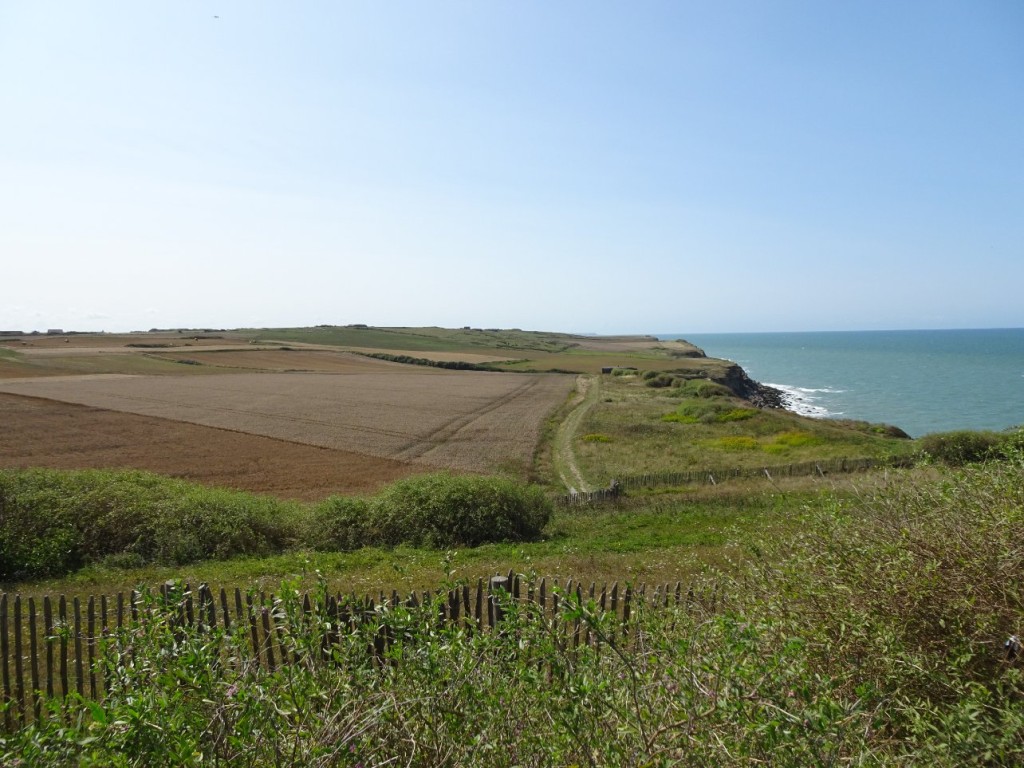 DSC05570.JPG