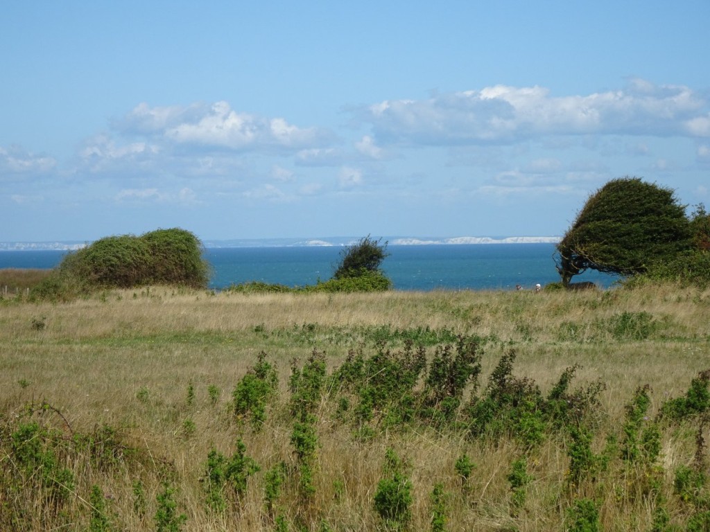 DSC05573.JPG