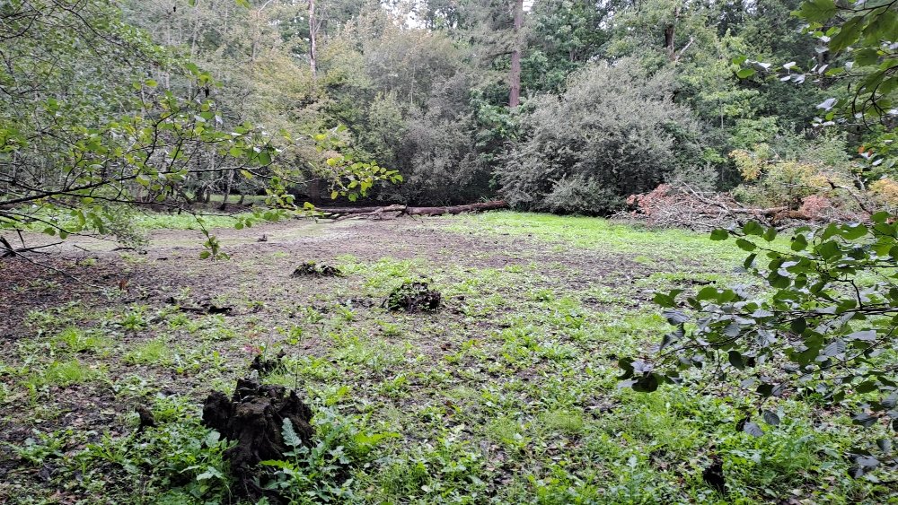 Canal creusé par erreur puis arrêté au bout d'un an de travaux