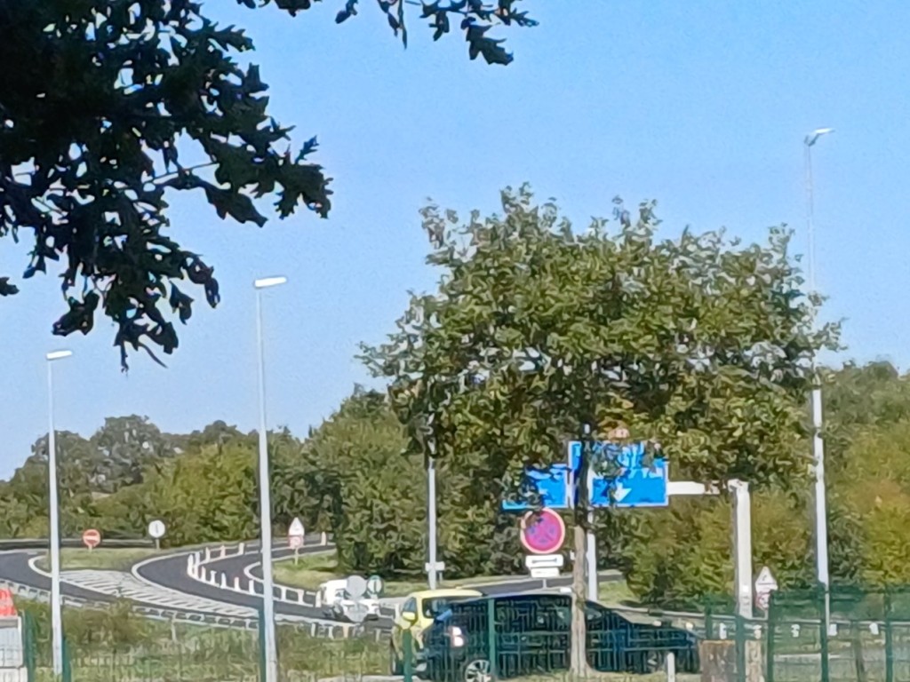 20250918_155515.jpg