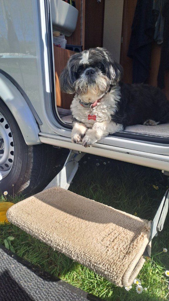 Au revoir Fifille ! !