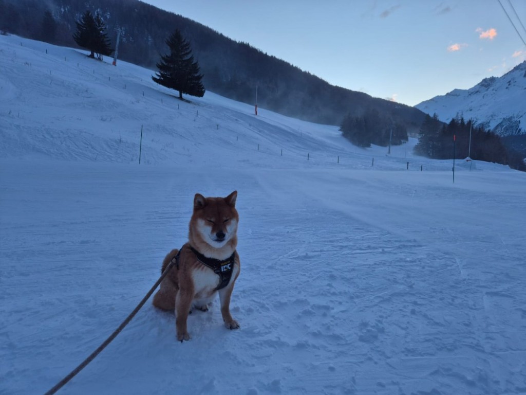 Val Cenis