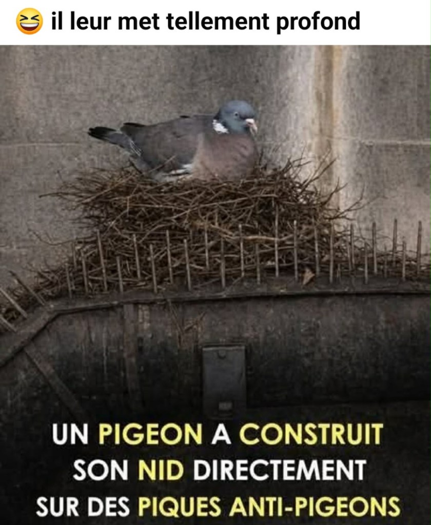 att.KFGhOJPq5euXJBMqi6ApB5GRYF5qcE5FRJh2qZYNNcM.jpeg