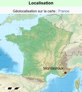 Montauroux carte.jpg