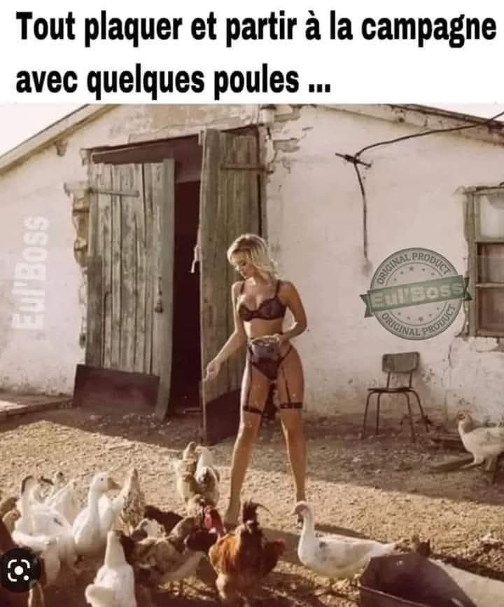 FB_IMG_1746122820820.jpg