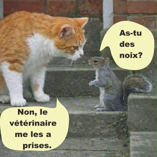 att.bUBEZE-rF_UxOzV3Qm6cNRvrAZ455BDOlkfuP2RfCVo.jpeg