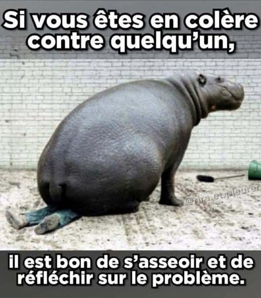 att.pjuGareirO-k7O-9OzZ-qT3cdb1kzdASEaFWO4sHar4.jpeg