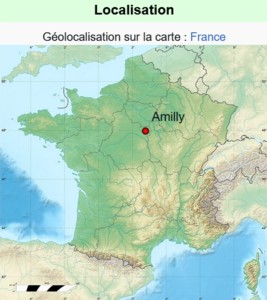 Amily carte.jpg