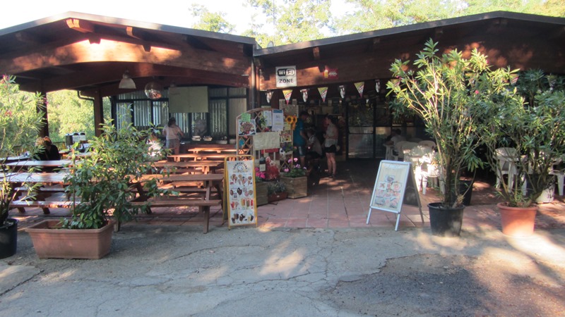 Camping international
