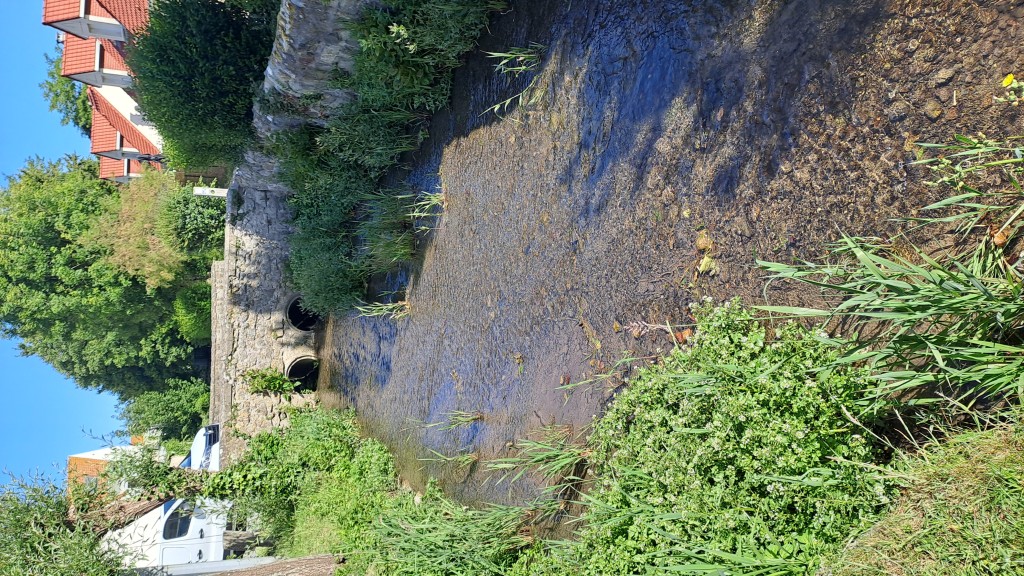20260610_094736.jpg