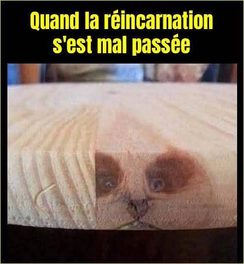 FB_IMG_1781091282851.jpg