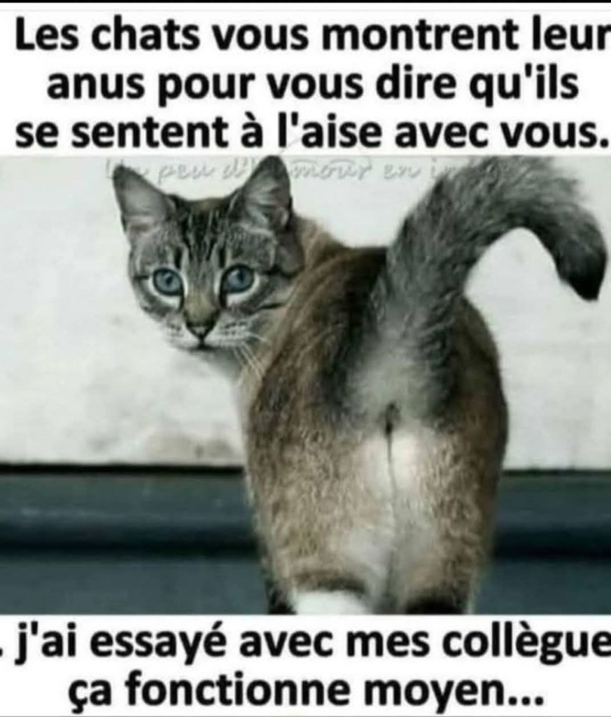 FB_IMG_1781091550387.jpg