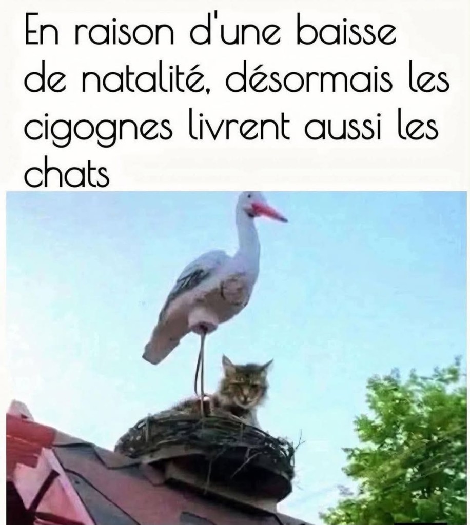 Messenger_creation_53761F2D-9955-47C9-9470-01E017C59001.jpeg
