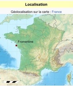 Fromentine carte.jpg