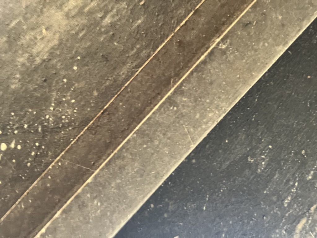 IMG_2439.jpeg