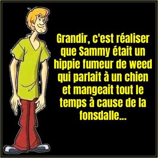 Messenger_creation_DF39C1C7-BD9F-459B-9D65-B221C4DCA054.jpeg