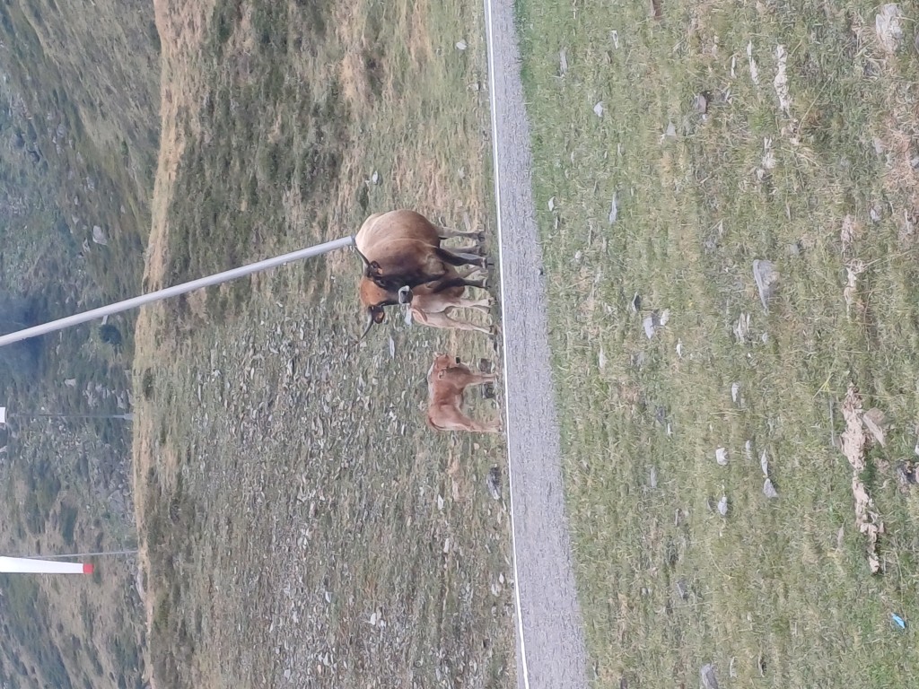 20260814_181505.jpg