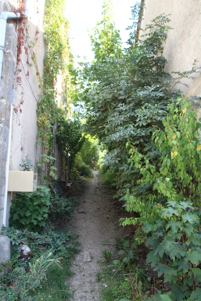 IMG_8155b.jpg