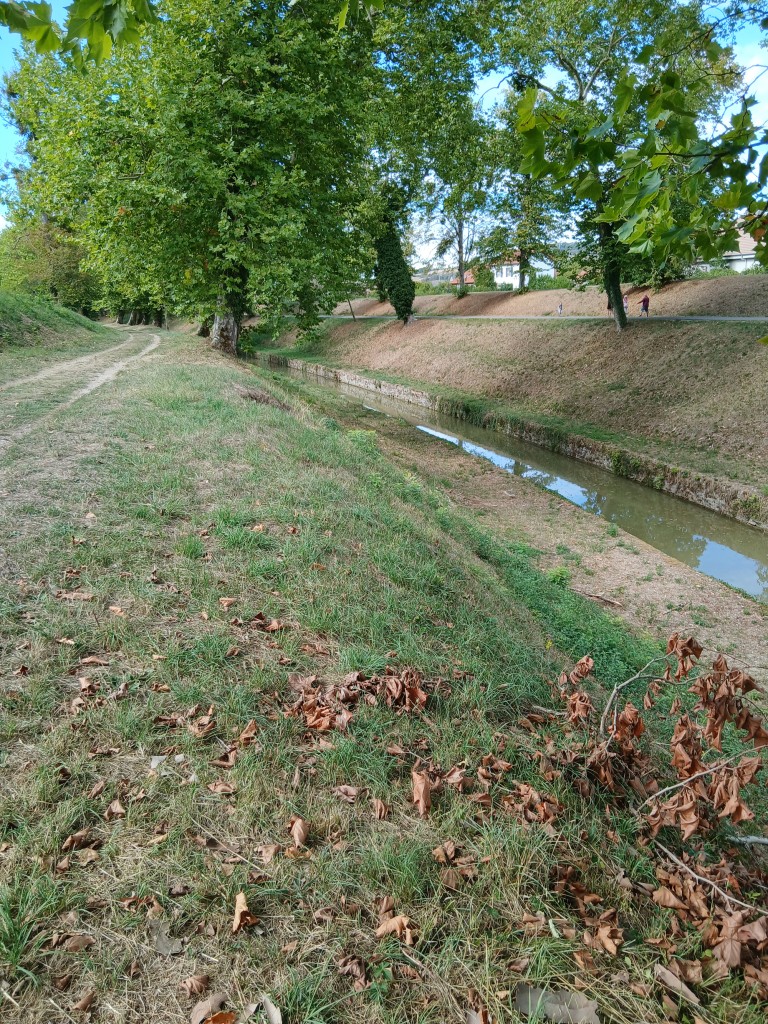 20260913_154129a.jpg