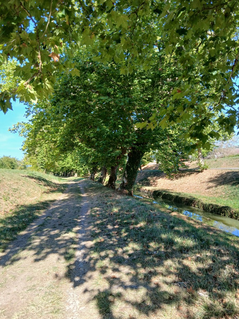 20260914_104318a.jpg