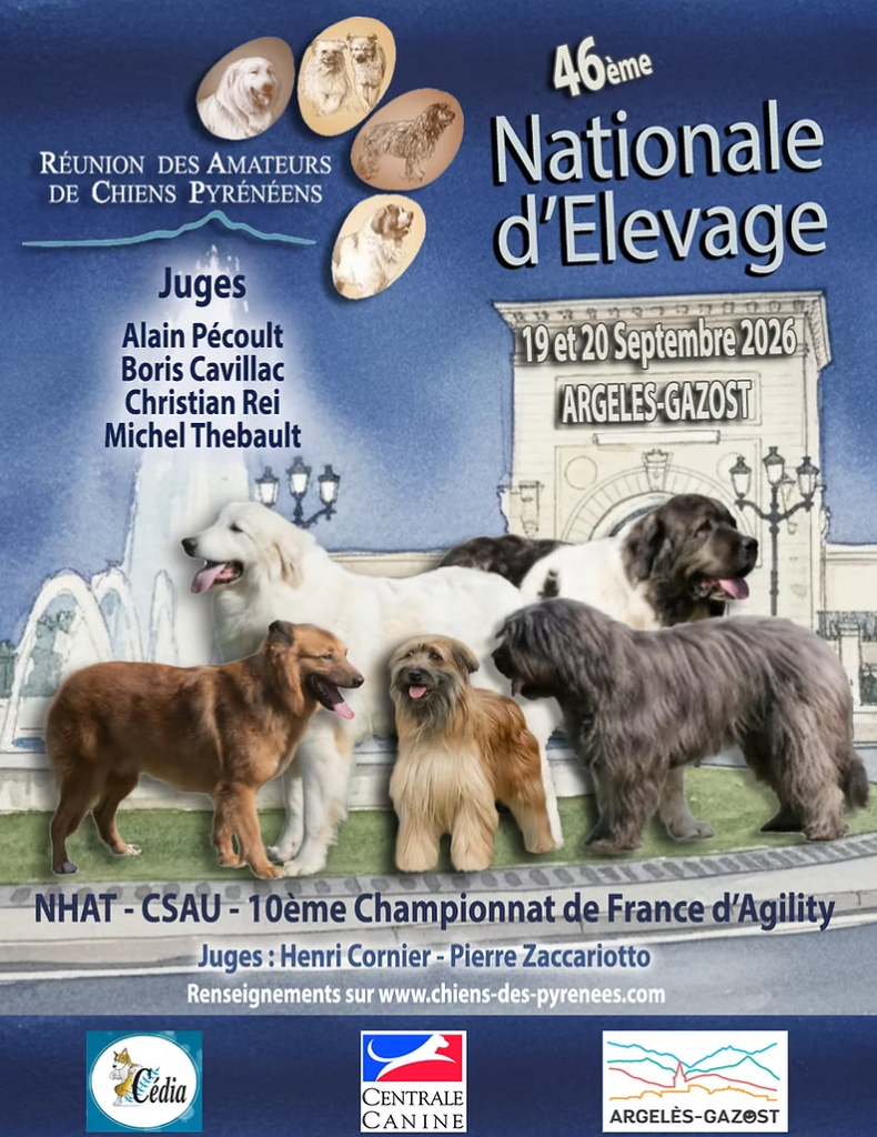 Capture-d-ecran-2026-08-13-112153.png