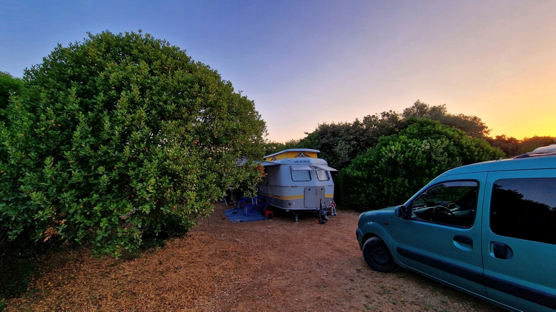Magnifique, le camping à la ferme des Aresquiers