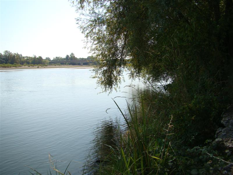 DSC06640 (Medium).JPG