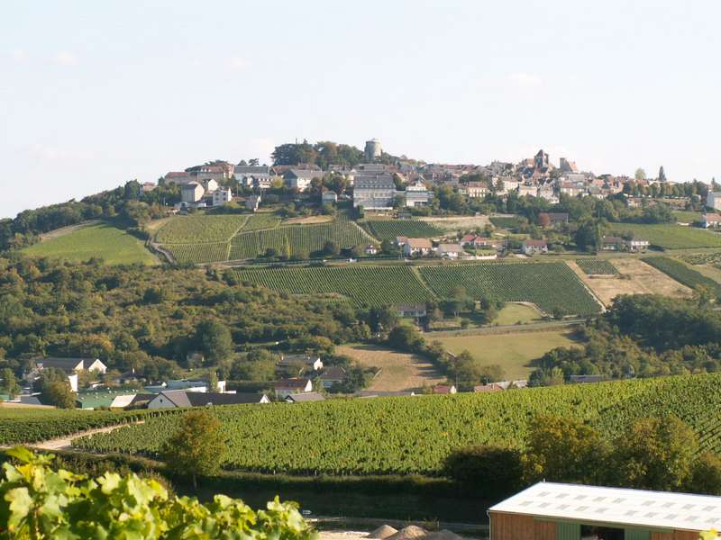 PICT0017.JPG