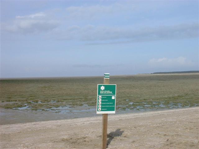 DSCF0050 (Small).JPG