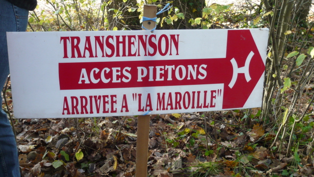 P1040036.JPG