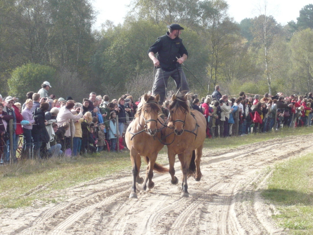 P1040041.JPG