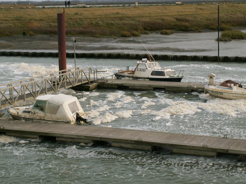 PICT0271.JPG