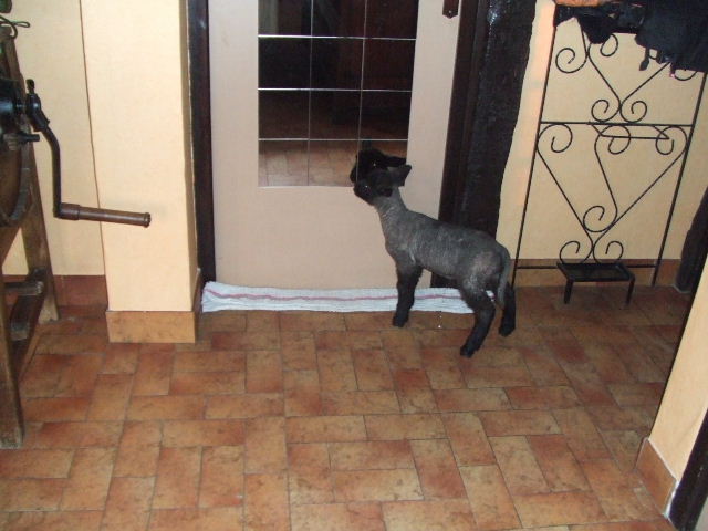 DSCF0120.JPG
