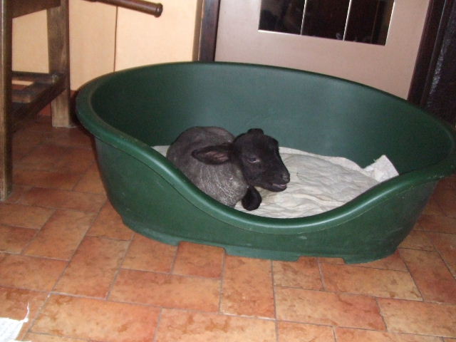 DSCF0111.JPG