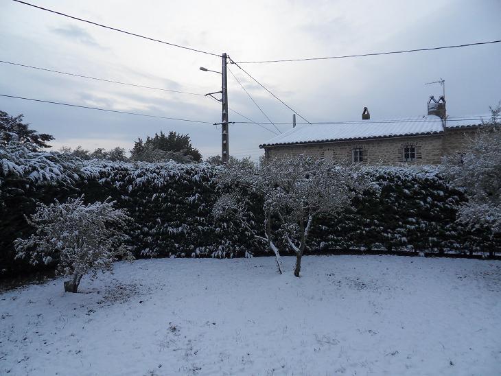 neige 2.jpg