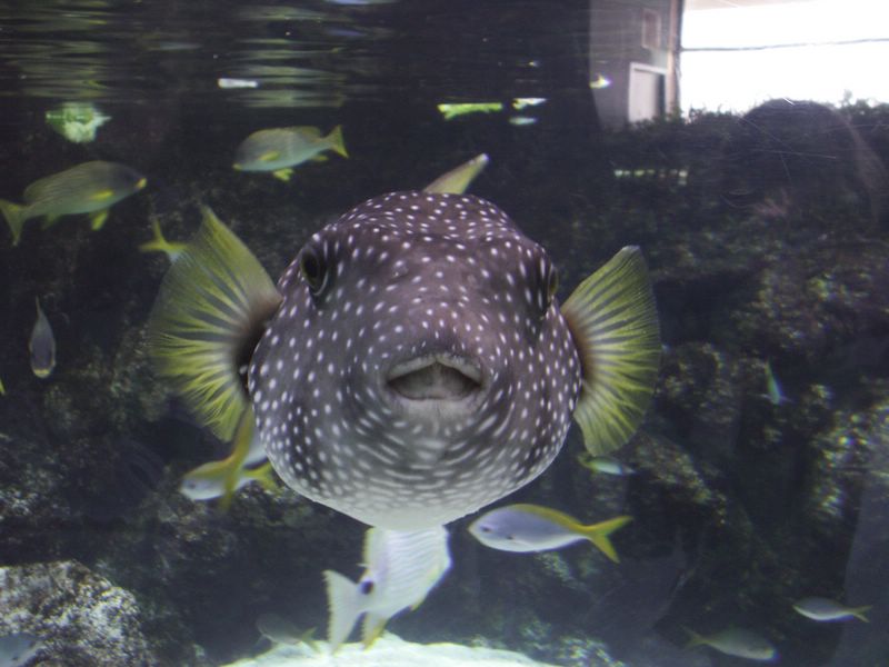 PICT0268 [800x600].JPG