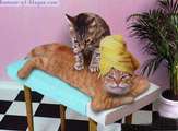 chat-massageB.jpg