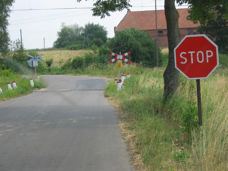 tn_IMG_1075.JPG