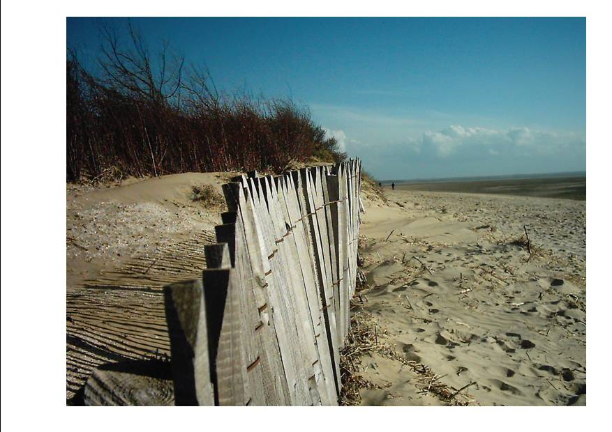 Baie P 9.jpg