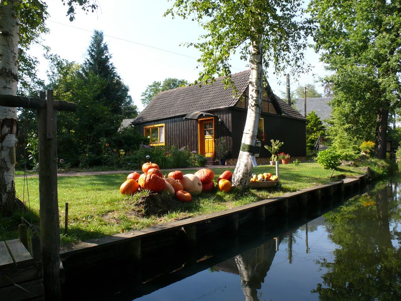 Image09.jpg