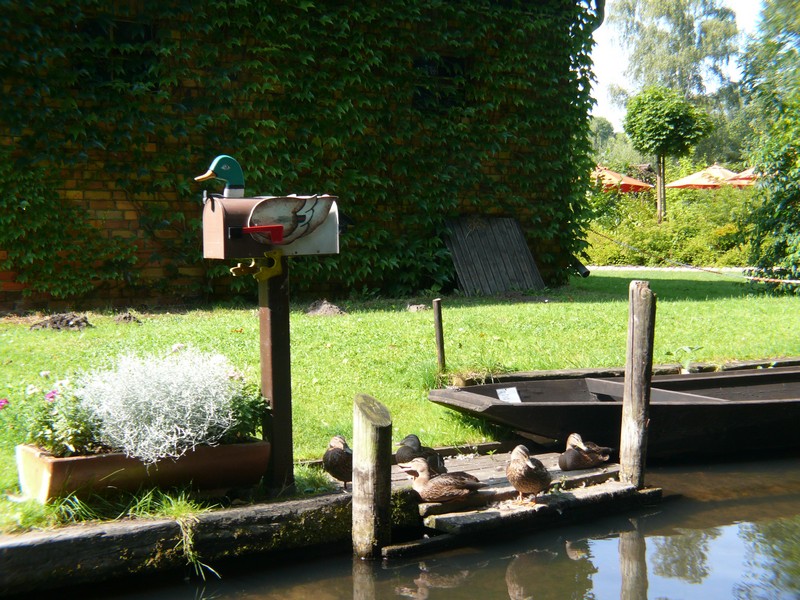 Image10.jpg