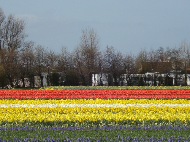 DSC04797.JPG
