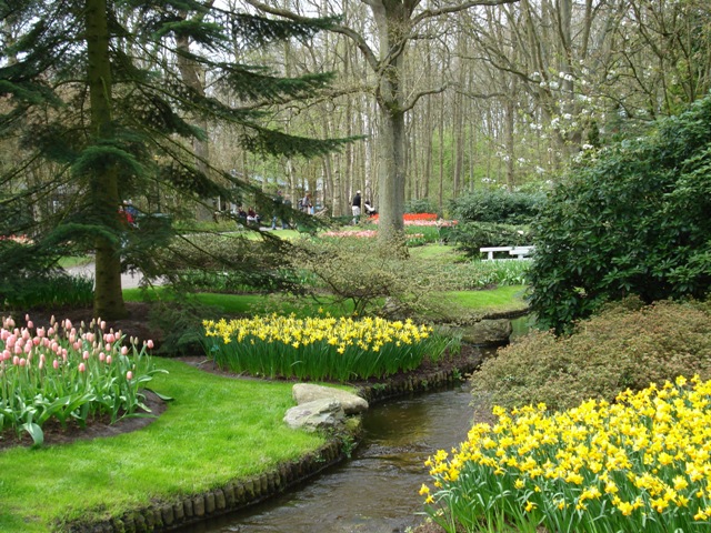 DSC04887.JPG