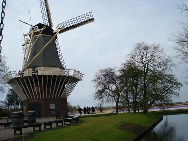 DSC04956.JPG