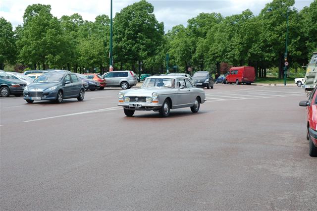 DSC_3365 (Small).JPG